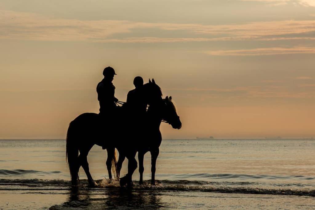 Hoekje Up Katwijk aan Zee Zewnętrze zdjęcie