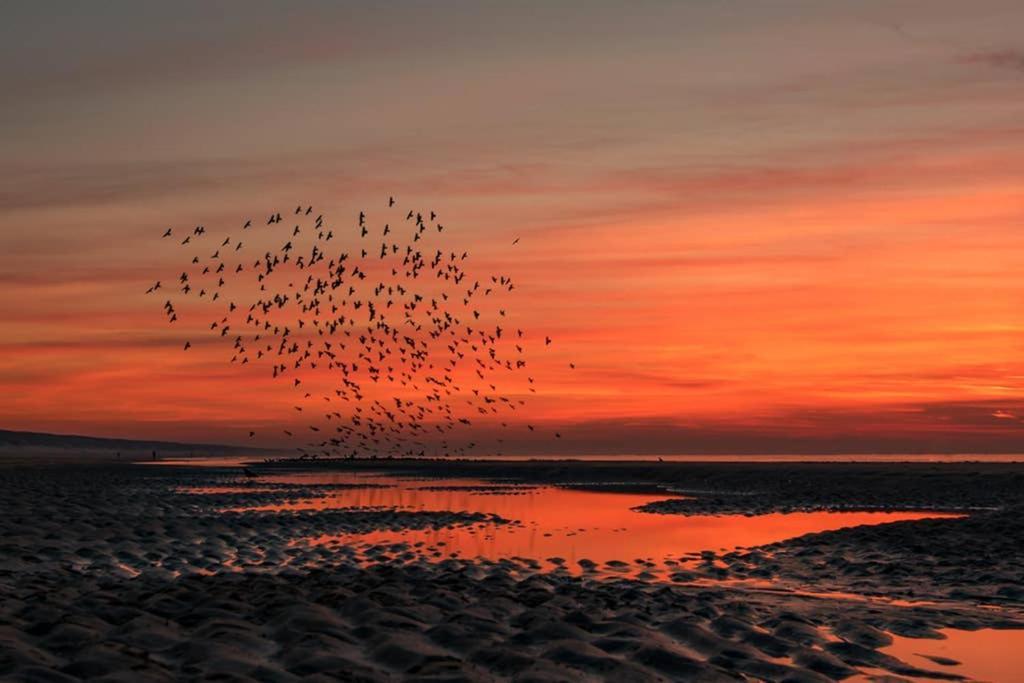 Hoekje Up Katwijk aan Zee Zewnętrze zdjęcie