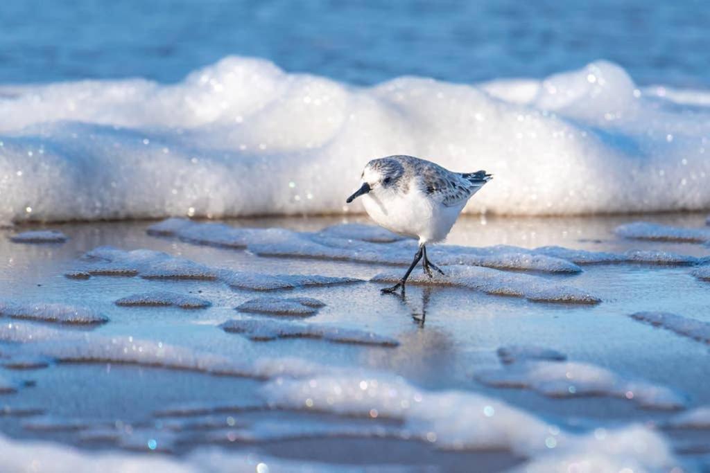 Hoekje Up Katwijk aan Zee Zewnętrze zdjęcie